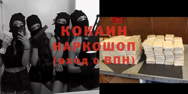 прущие грибы Алексеевка