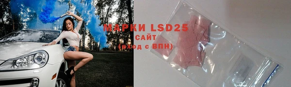 прущие грибы Алексеевка