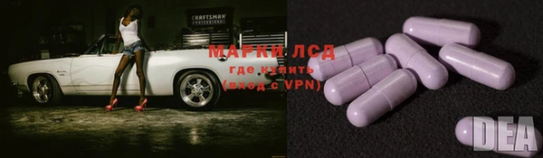 прущие грибы Алексеевка