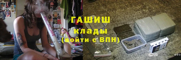 индика Ростов