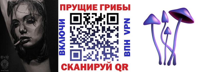 Галлюциногенные грибы ЛСД продажа наркотиков блэк спрут онион Дрезна